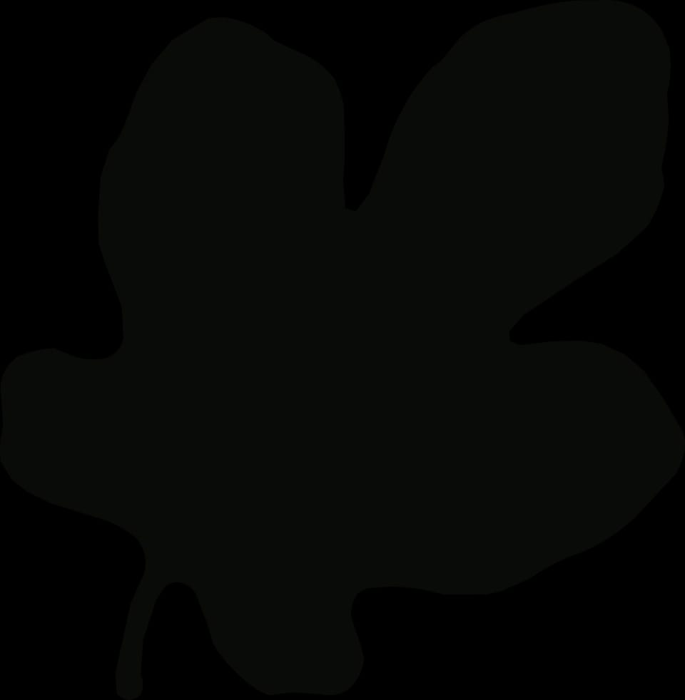 MIK Group